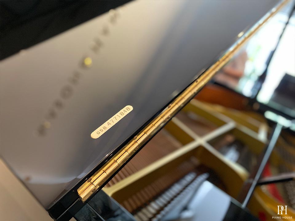 YAMAHA G5B (Seri 4.7)