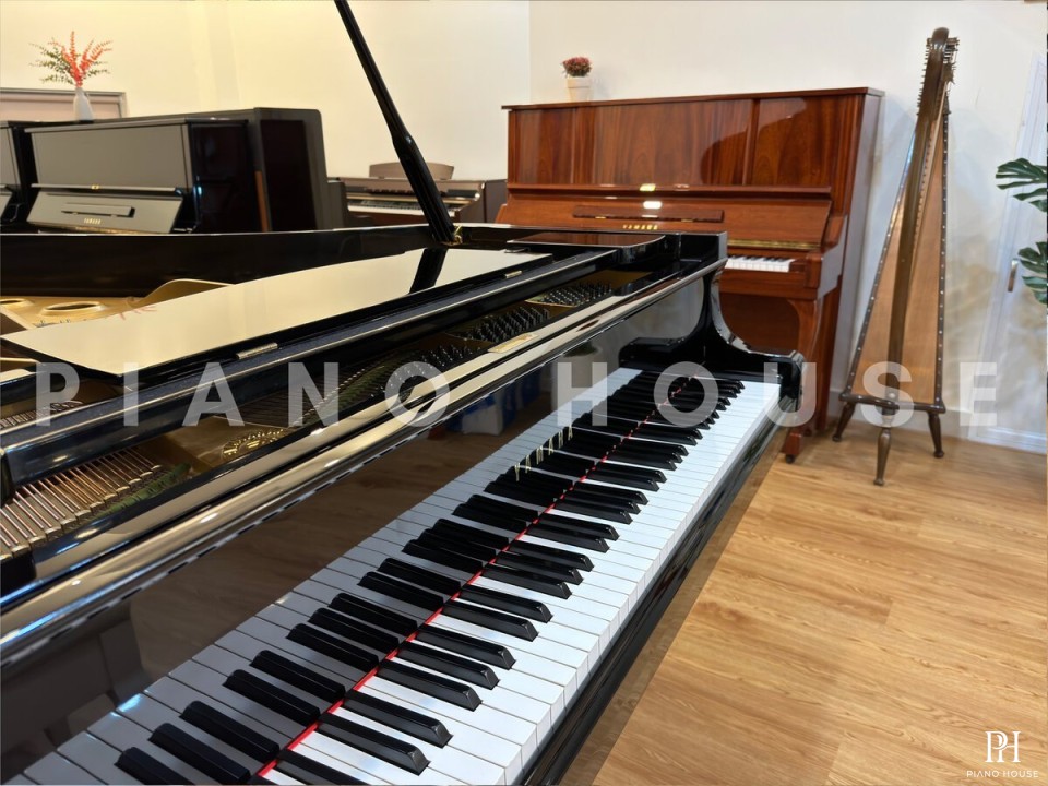 YAMAHA G5