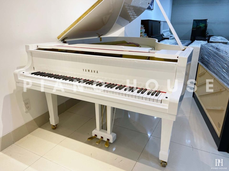YAMAHA G5 WH