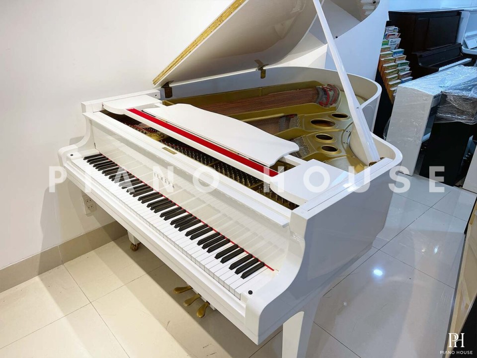 YAMAHA G5 WH