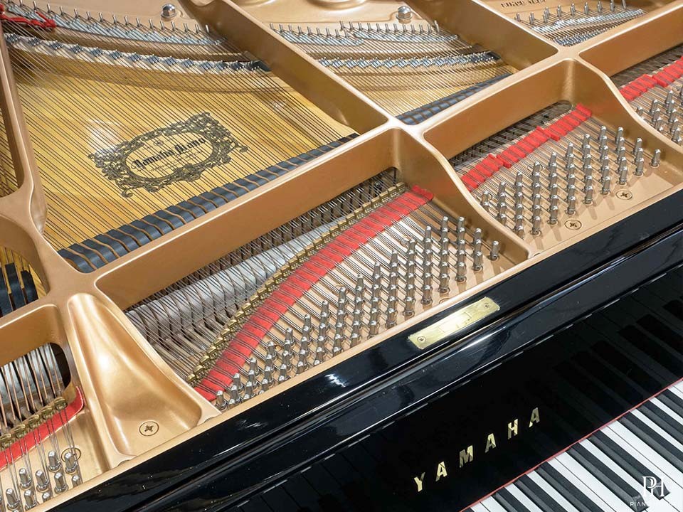 YAMAHA C5