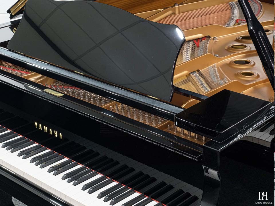 YAMAHA C5
