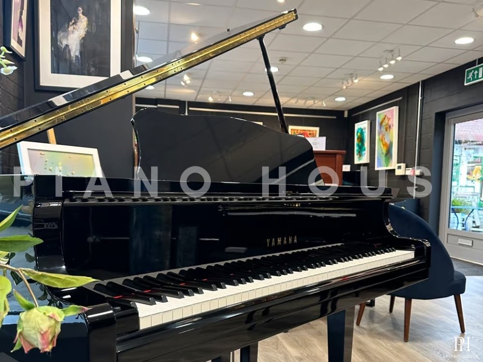 YAMAHA GA1