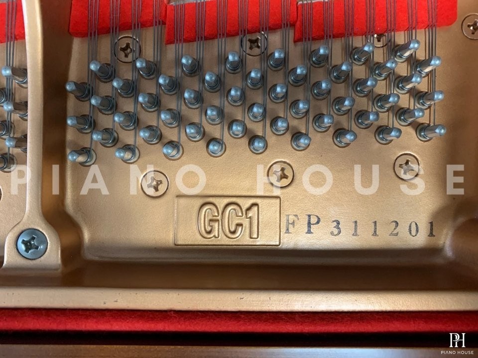YAMAHA GC1 FP