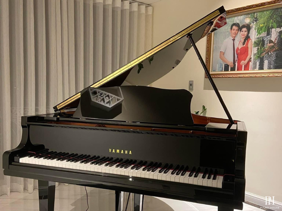 YAMAHA GC1 PE