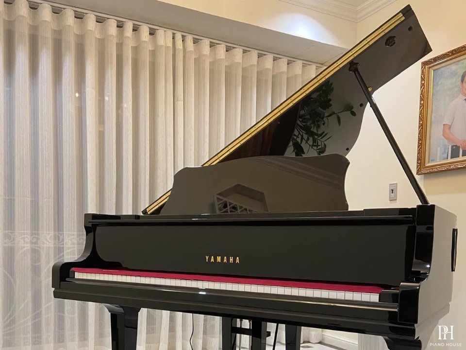 YAMAHA GC1 PE