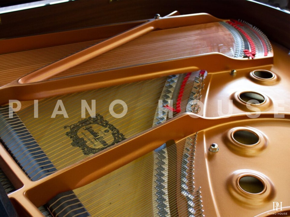 YAMAHA C1X TA2 TRANSACOUSTIC™