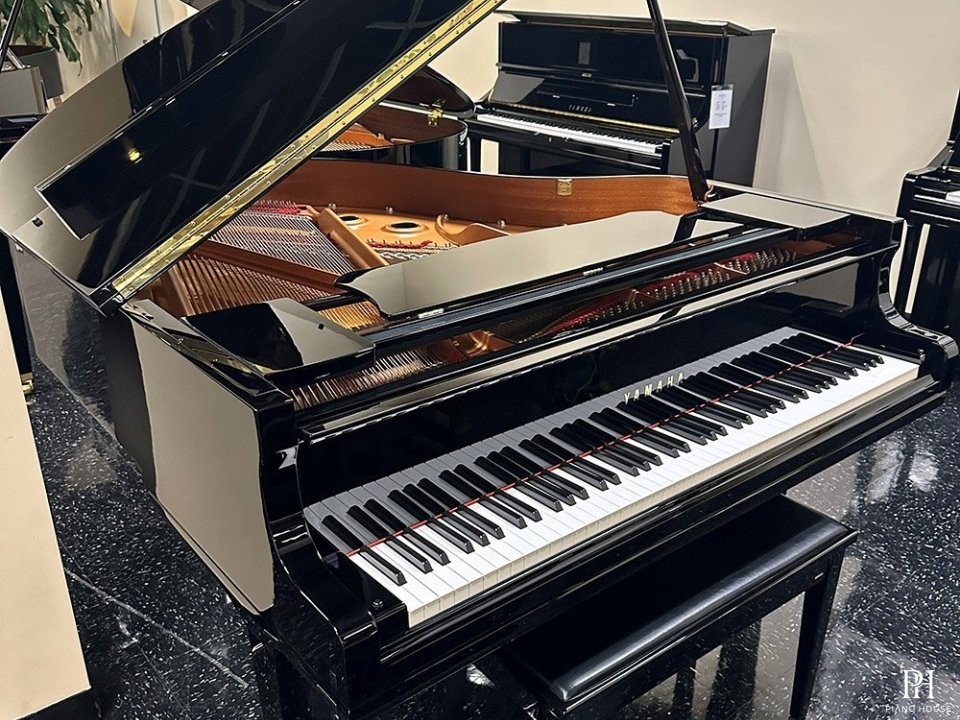 YAMAHA GC1 PE