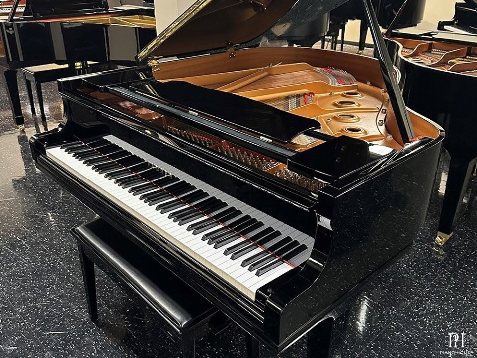 YAMAHA GC1 PE