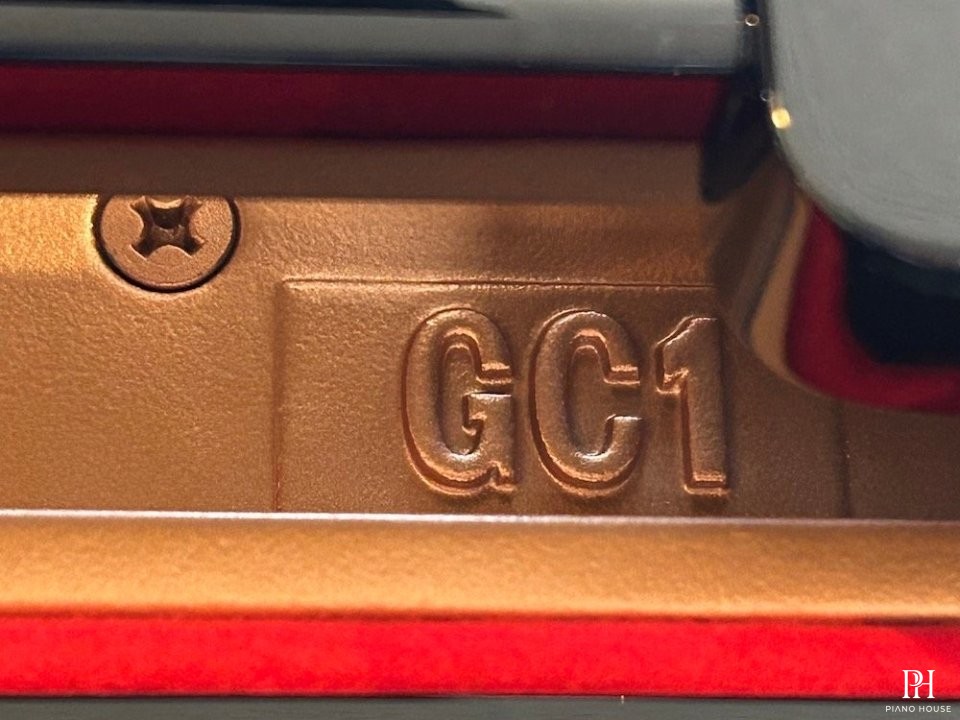 YAMAHA GC1 PE