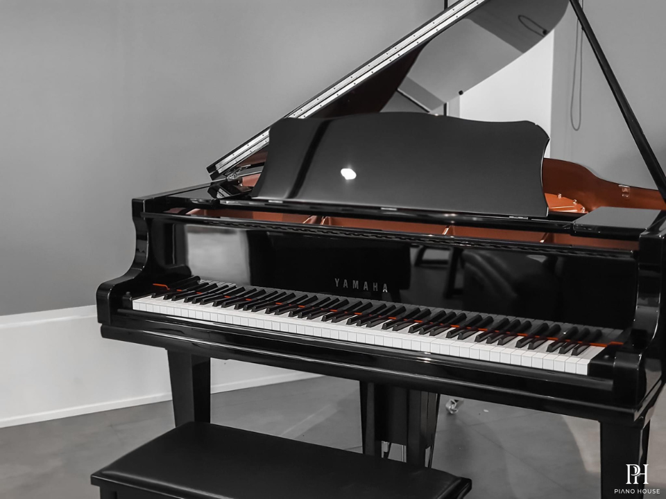 YAMAHA GC2 PE