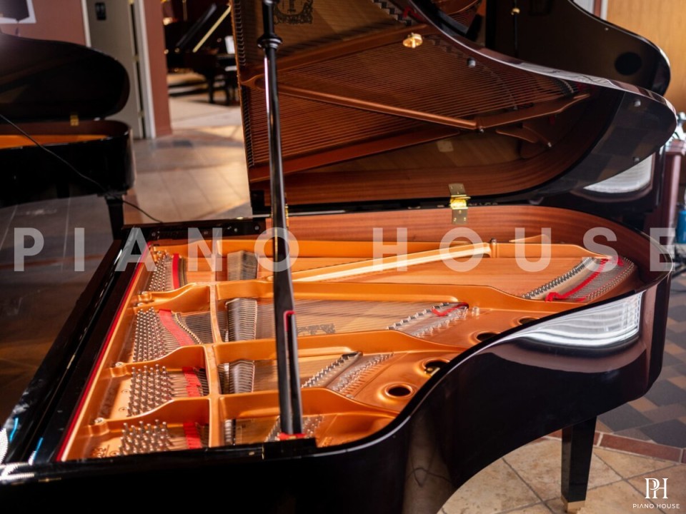 YAMAHA GC2 PE