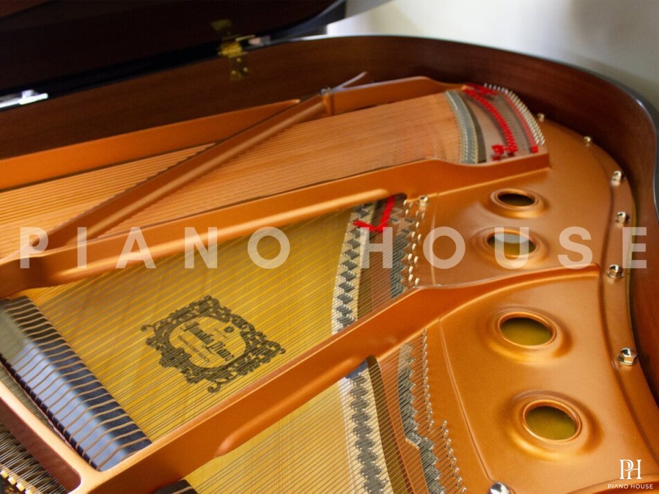 YAMAHA GC2 PE