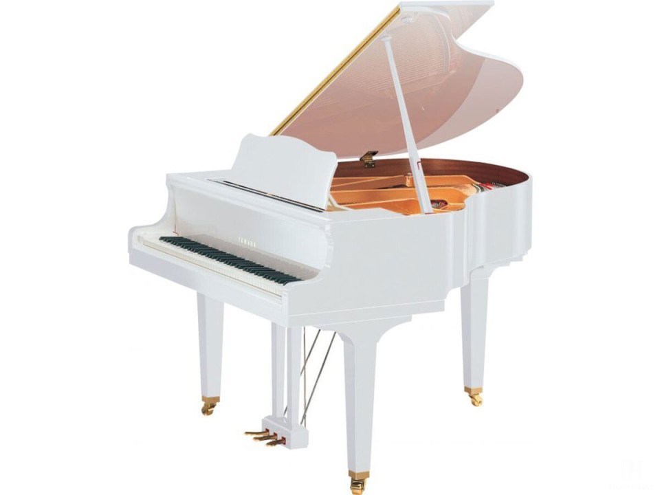 YAMAHA GB1K FP