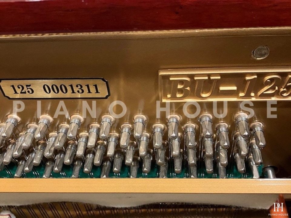 Brodmann BU-125 PMC