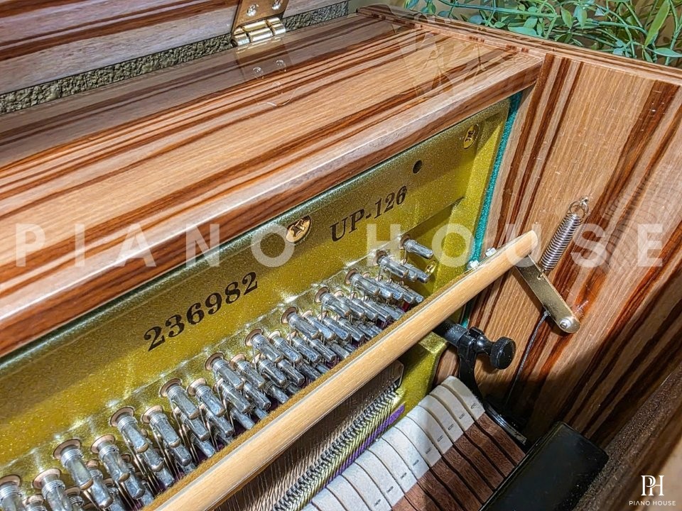 Schweighofer UP-126