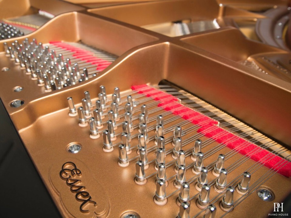 Essex EGP-173C