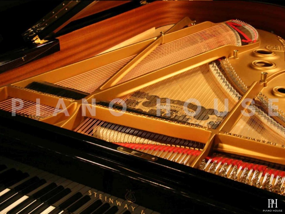 STEINWAY A3