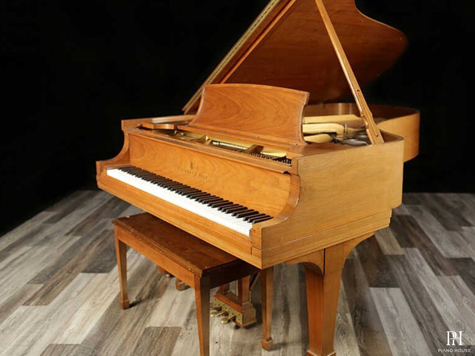 STEINWAY A3 WN