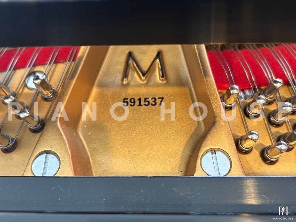 STEINWAY MODEL M (USED)