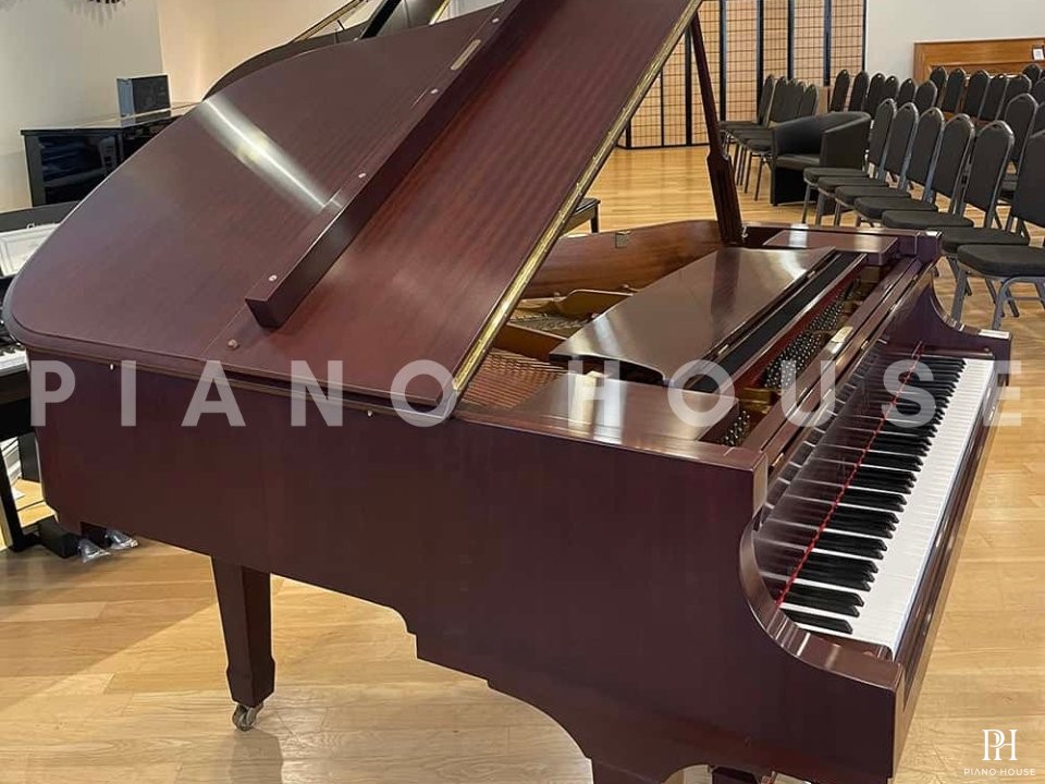 Essex EGP-161N Cherry Satin (USED)