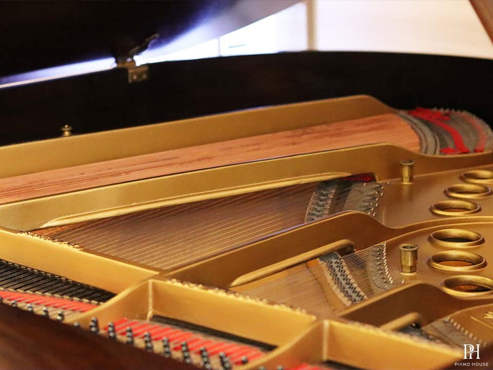 STEINWAY MODEL O (Wood)