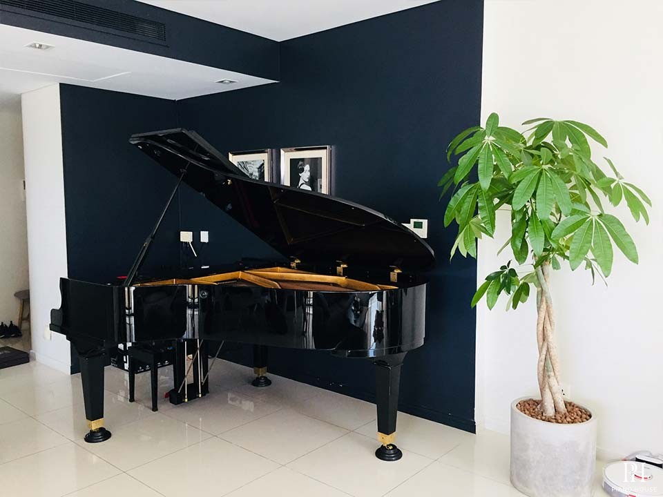 PIANO APOLLO A30