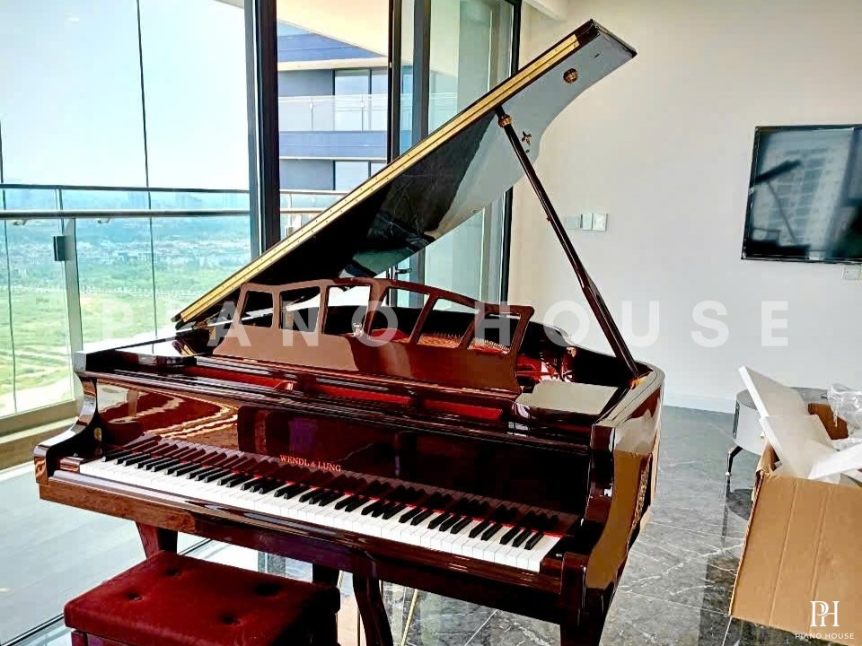 Wendl & Lung Mod.151 Professional III