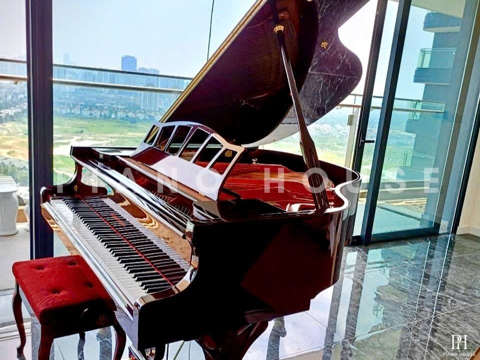 Wendl & Lung Mod.151 Professional III