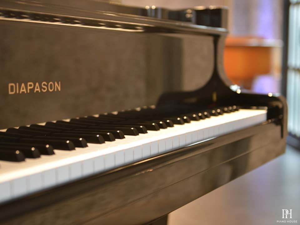 DIAPASON 170D