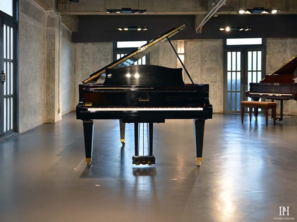 DIAPASON 170D