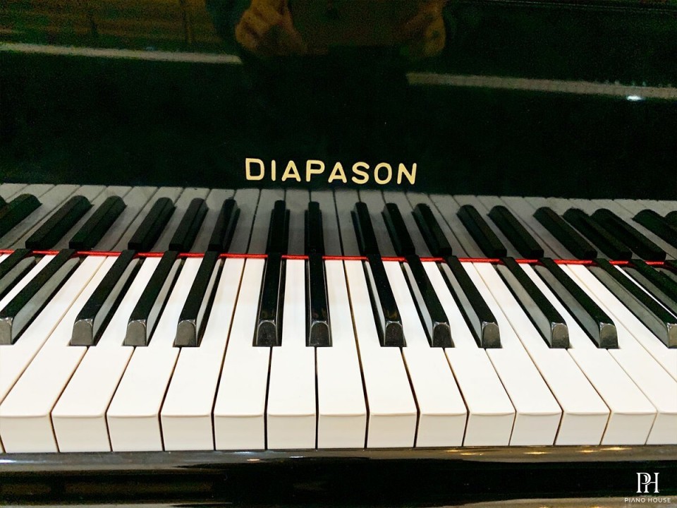 DIAPASON No.183