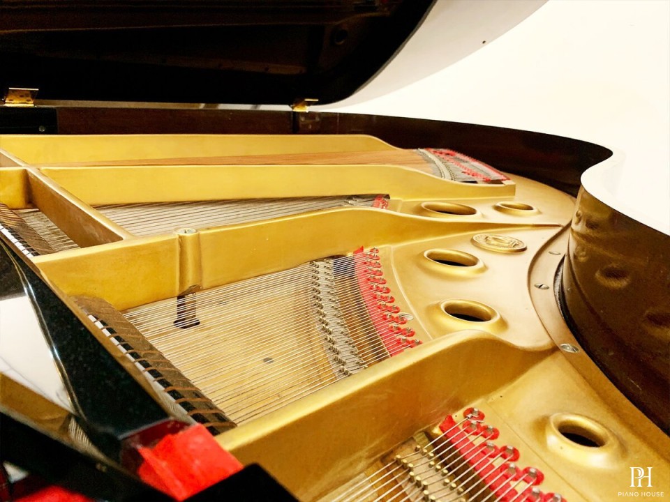DIAPASON No.183
