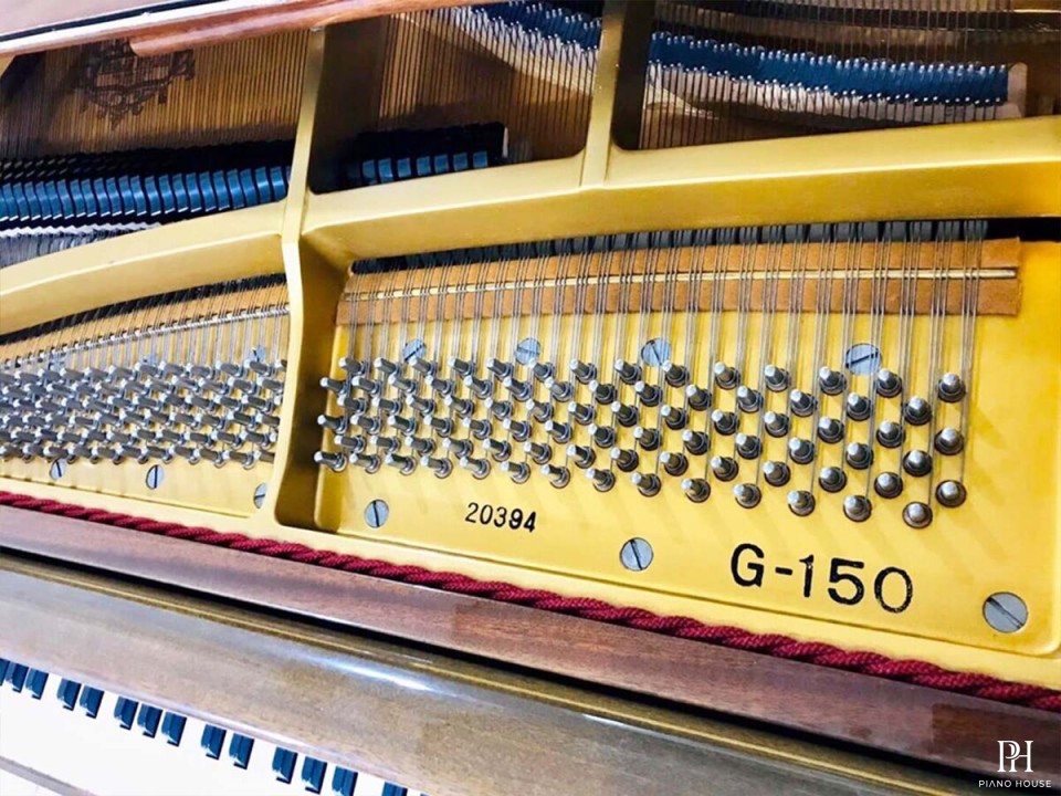 TOKAI G-150