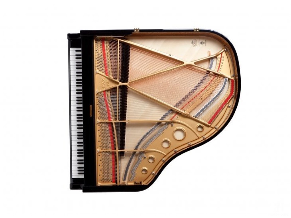 Fazioli F183 - Living Room Grand