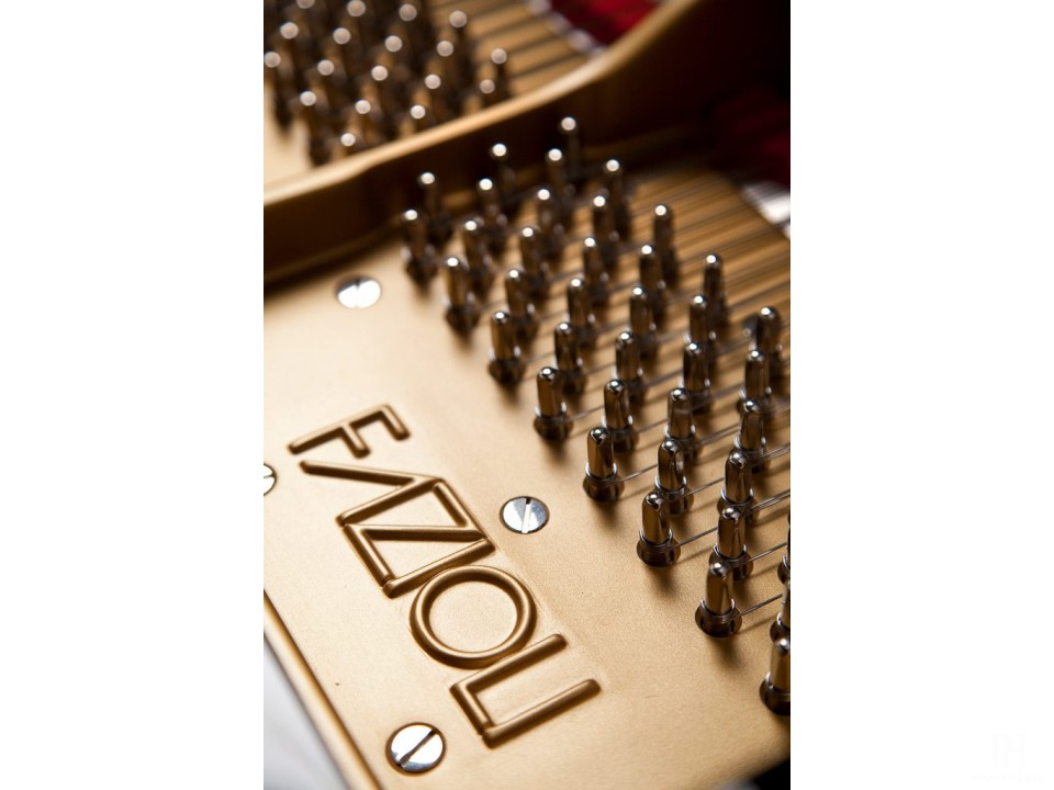 Fazioli F278 - Concert Grand