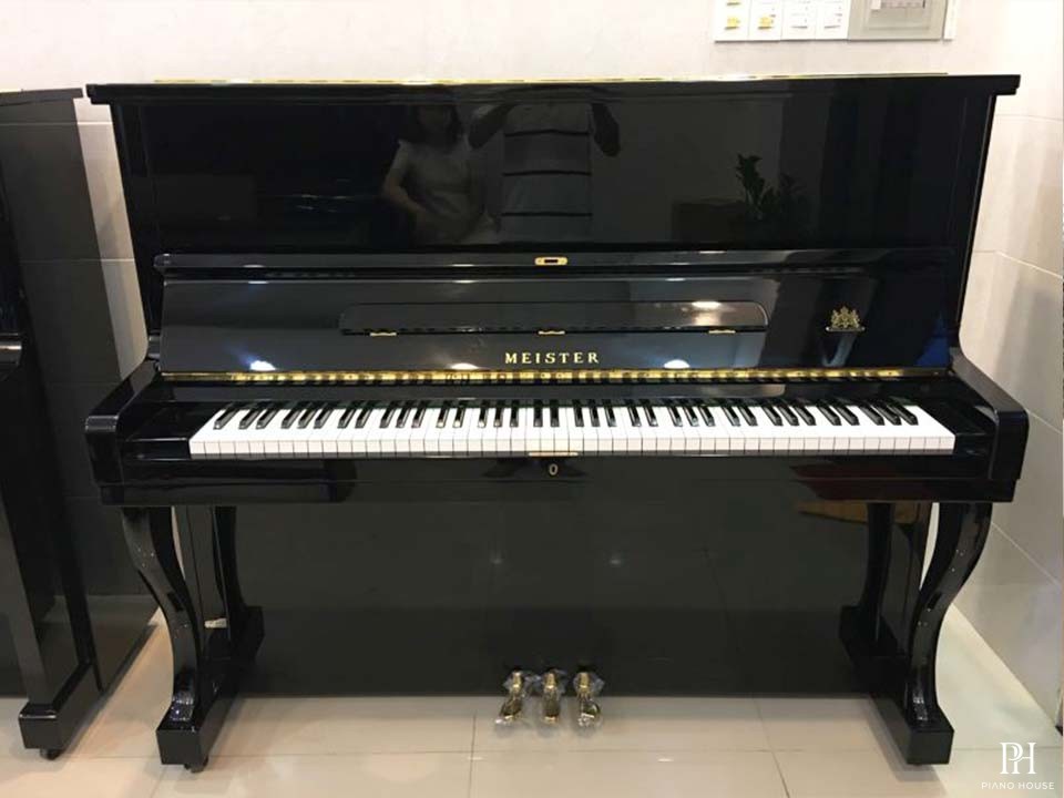 PRUTHNER 300