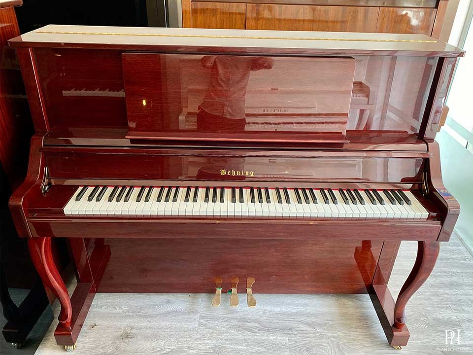 BEHNING DX-1M