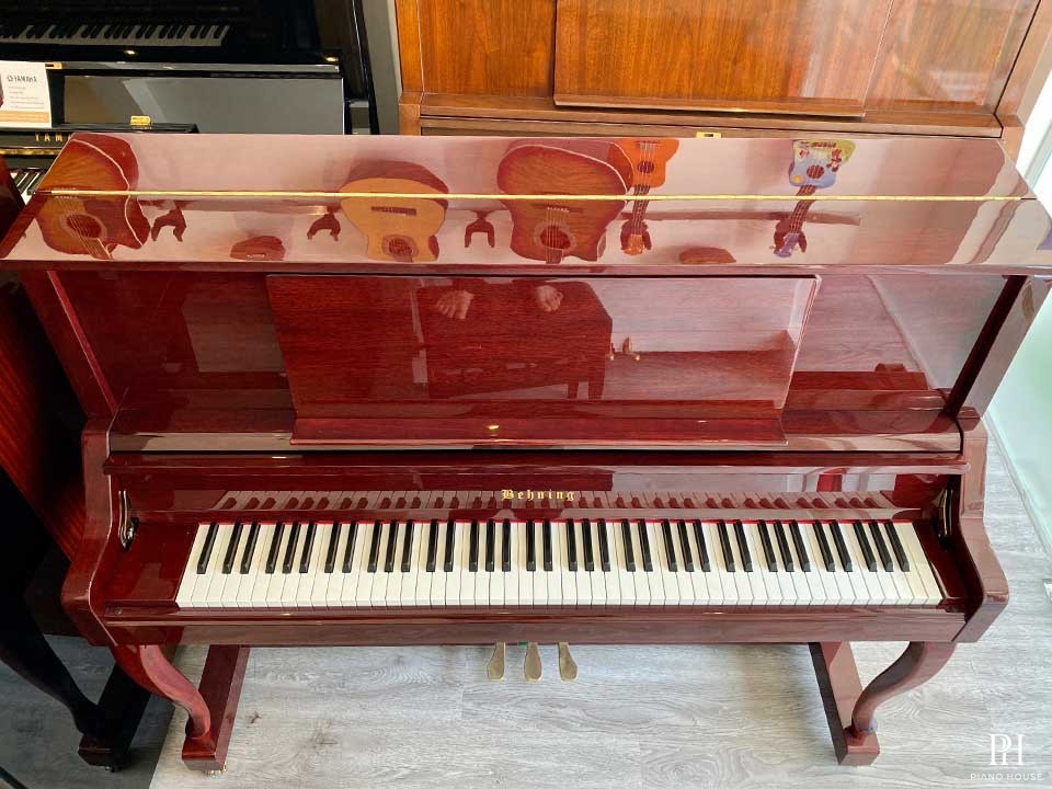 BEHNING DX-1M