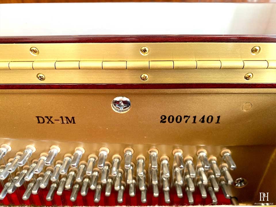 BEHNING DX-1M