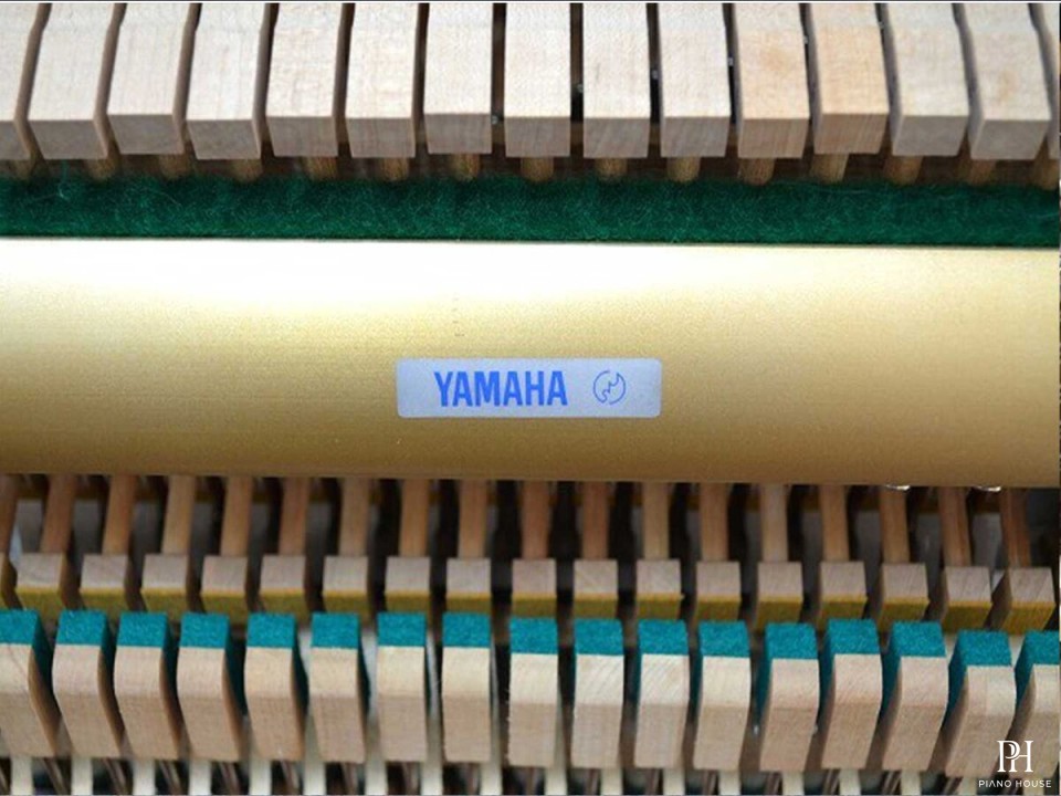 MIKI A36 PE