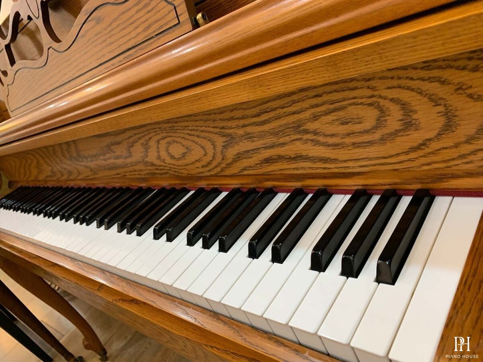 ELISEN J-110C