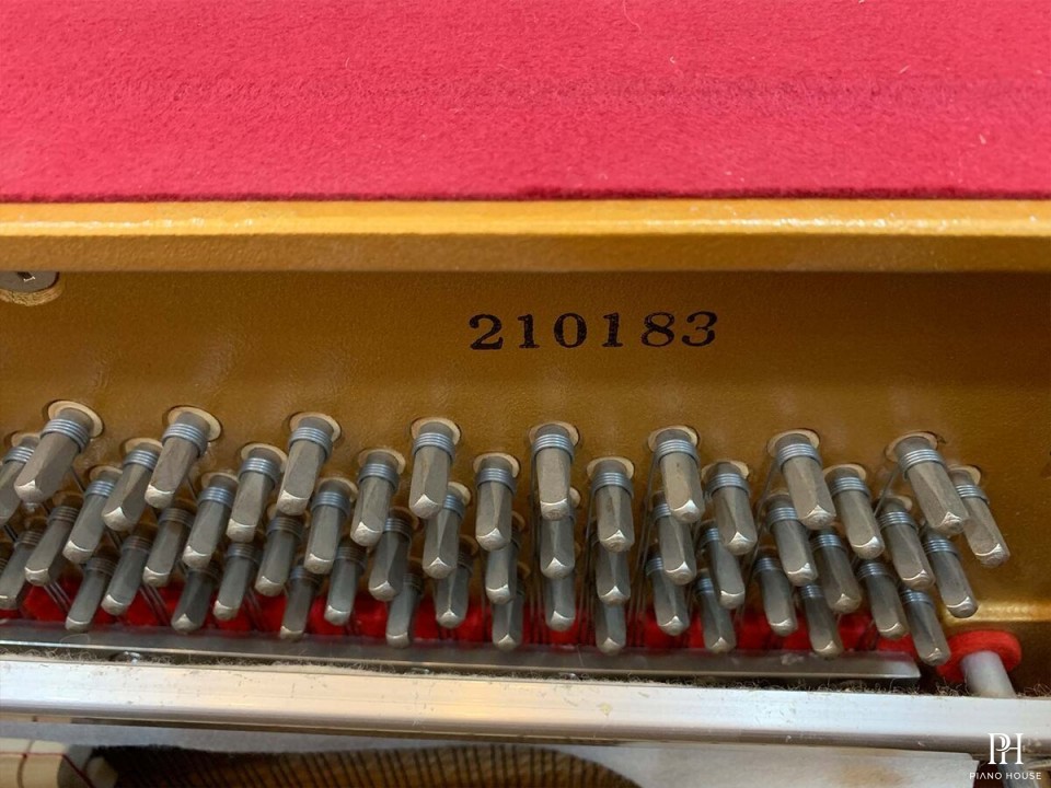 ELISEN J-110C
