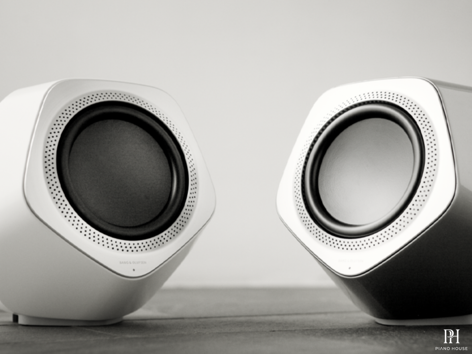 Loa B&O Beolab 19