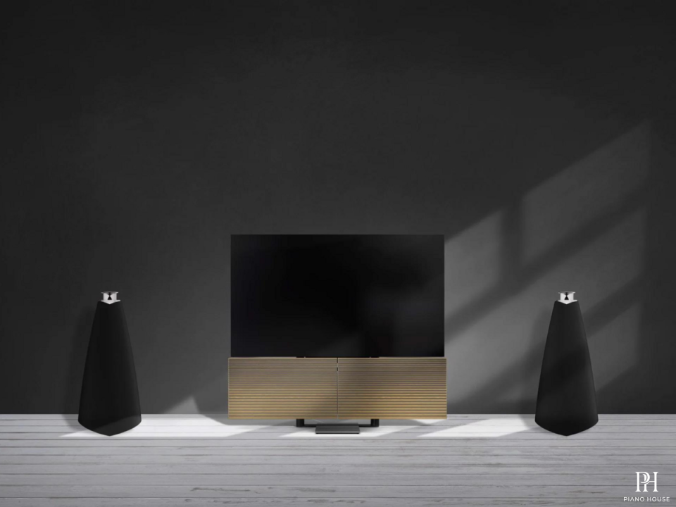 Loa B&O Beolab 20