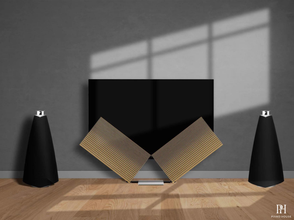 Loa B&O Beolab 20