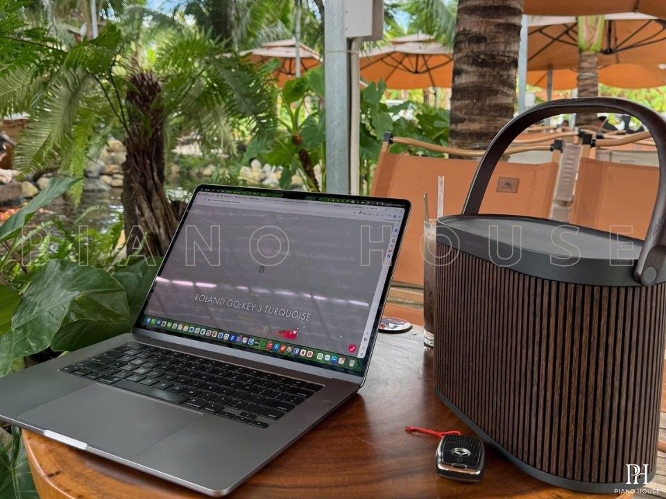 Loa B&O Beosound A5 Dark Oak (Used)