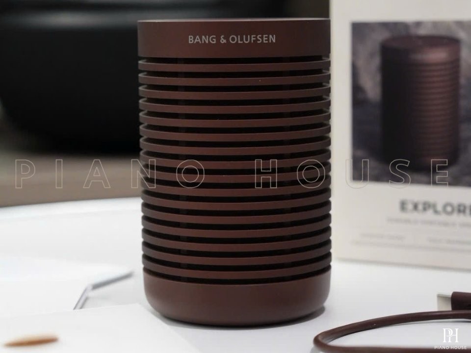 Loa B&O Beosound Explore (Chestnut)