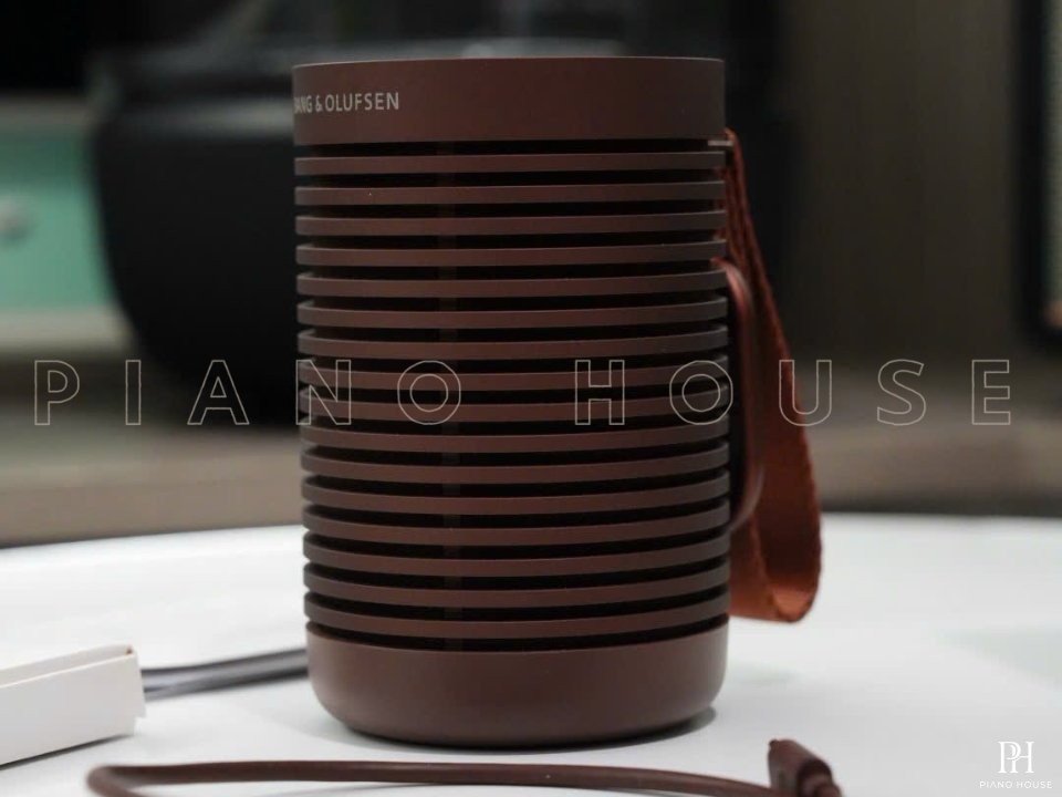Loa B&O Beosound Explore (Chestnut)