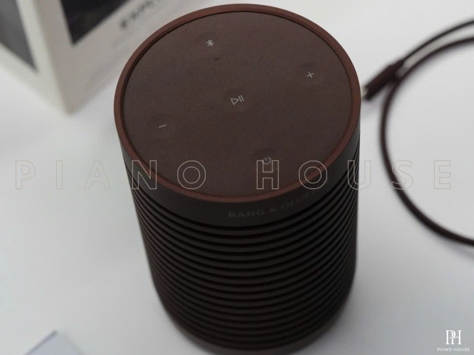 Loa B&O Beosound Explore (Chestnut)
